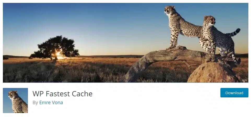 WP Fastest Cache